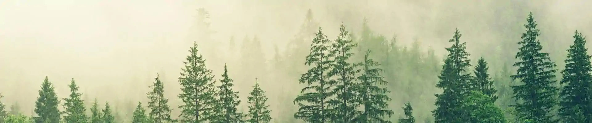 FSC Range