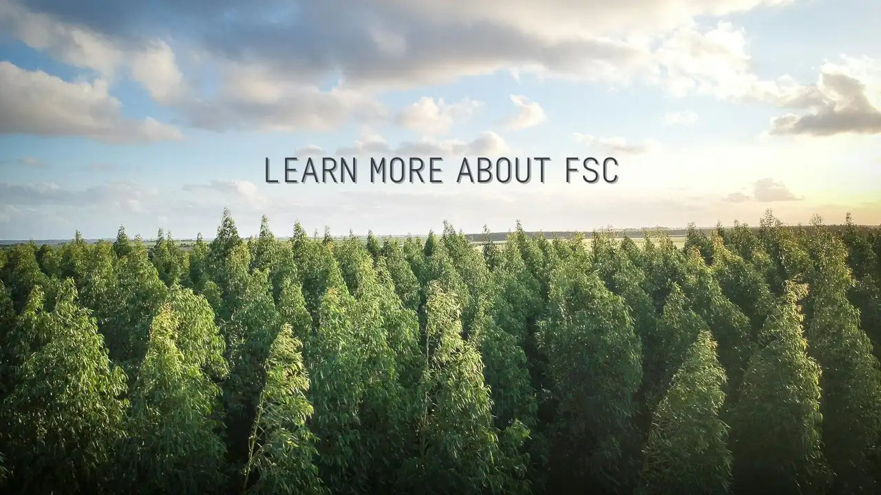 Forest with 'Learn More About FSC' text overlay
