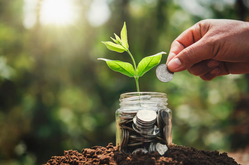 save money and environmental friendly
