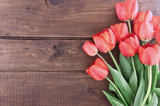 Mother’s Day