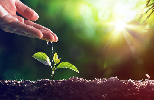 green eco-friendly environmental dates