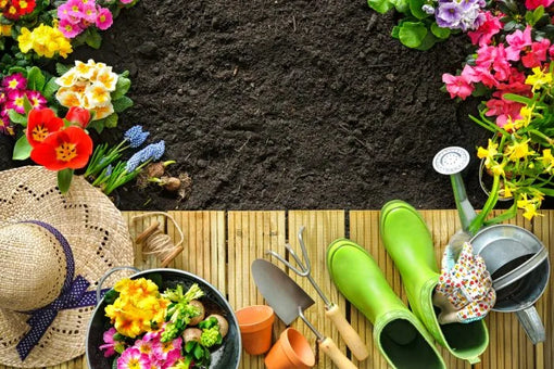 healthy garden, healthy mind