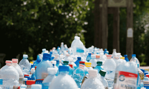 plastic free