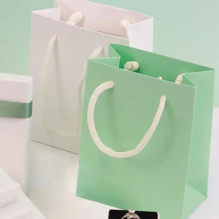 Two small paper gift bags, one mint green and the other white, with sturdy rope handles, sit against a pastel green background. This scene is minimalistic.