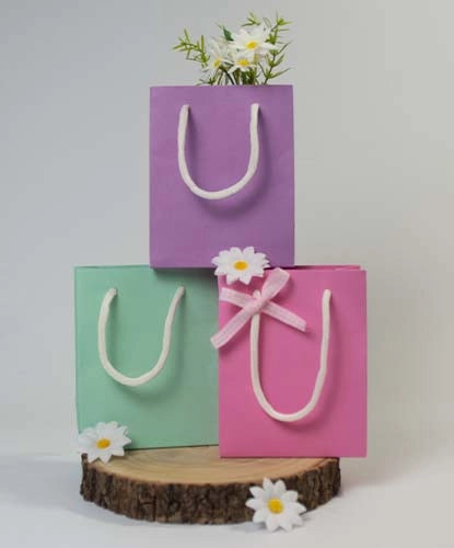 Three pastel gift bags in purple, green, and pink with white handles are arranged on a wooden slice.