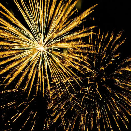 Bright golden fireworks burst in the night sky, creating vibrant, radiating patterns. The scene is festive and celebratory against a dark background.