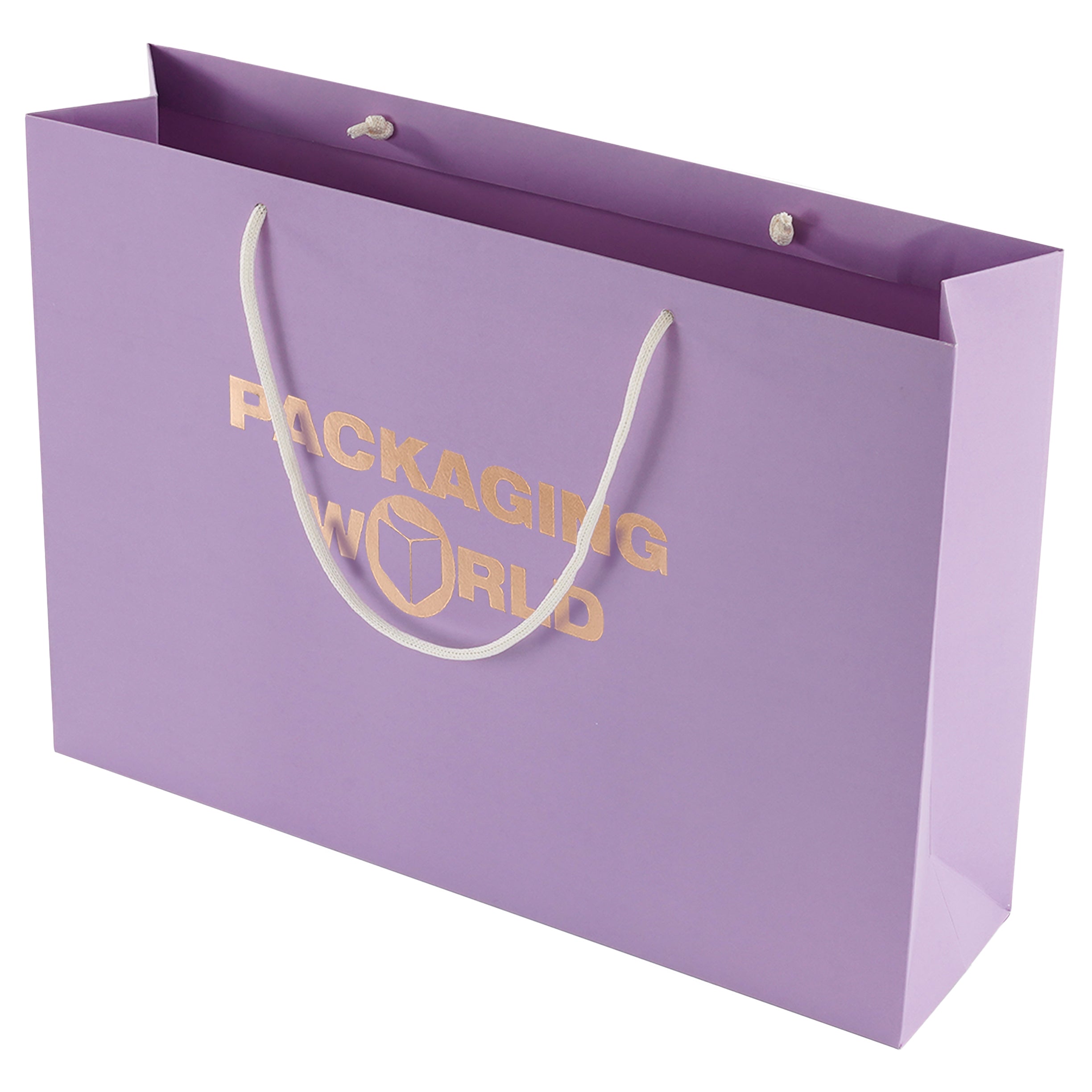 Purple paper bag with 'Packaging World' logo on a white background