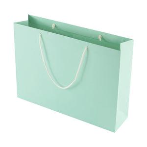 Green Eco Kraft Gift Bag A3 Size | Landscape Paper Bag | FSC Certified