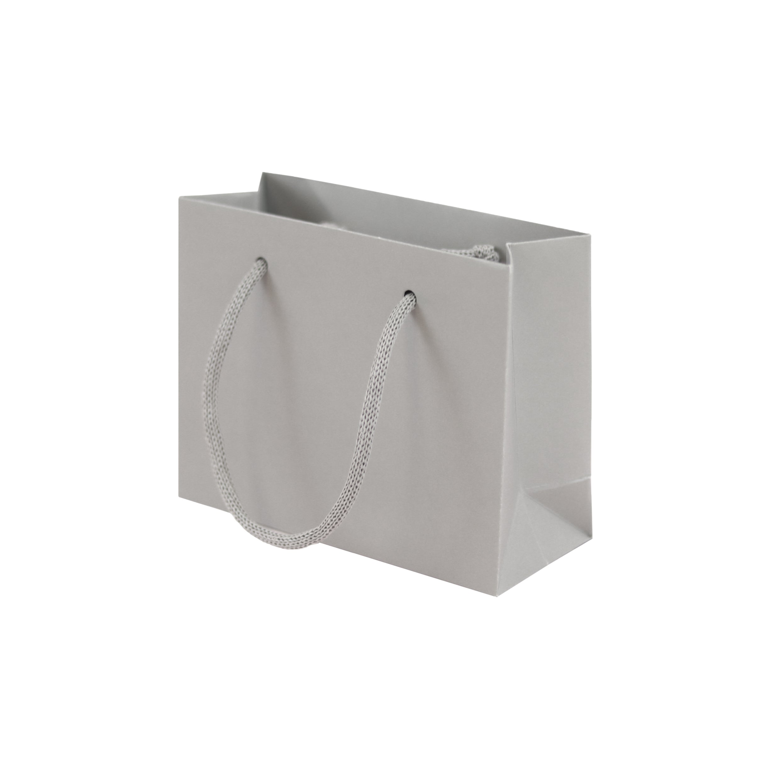 Grey eco-friendly paper gift bag with braided rope handles.