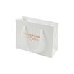 White paper bag with 'Packaging World' text on a white background