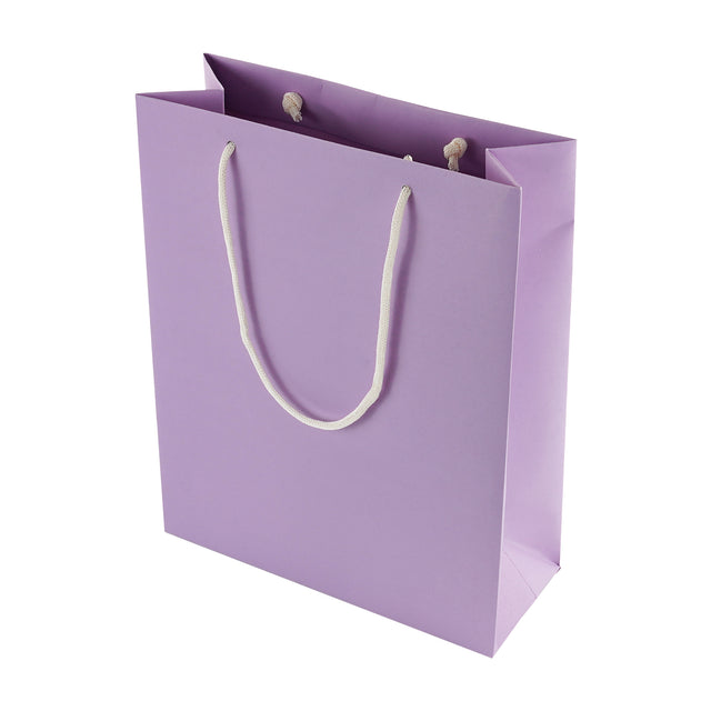 FSC A4 Portrait Eco Kraft Paper Gift Bag