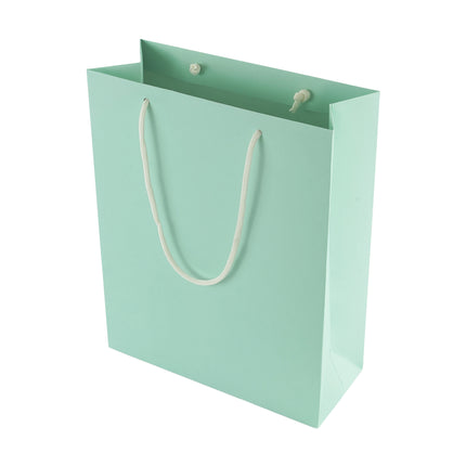 FSC A4 Portrait Eco Kraft Paper Gift Bag