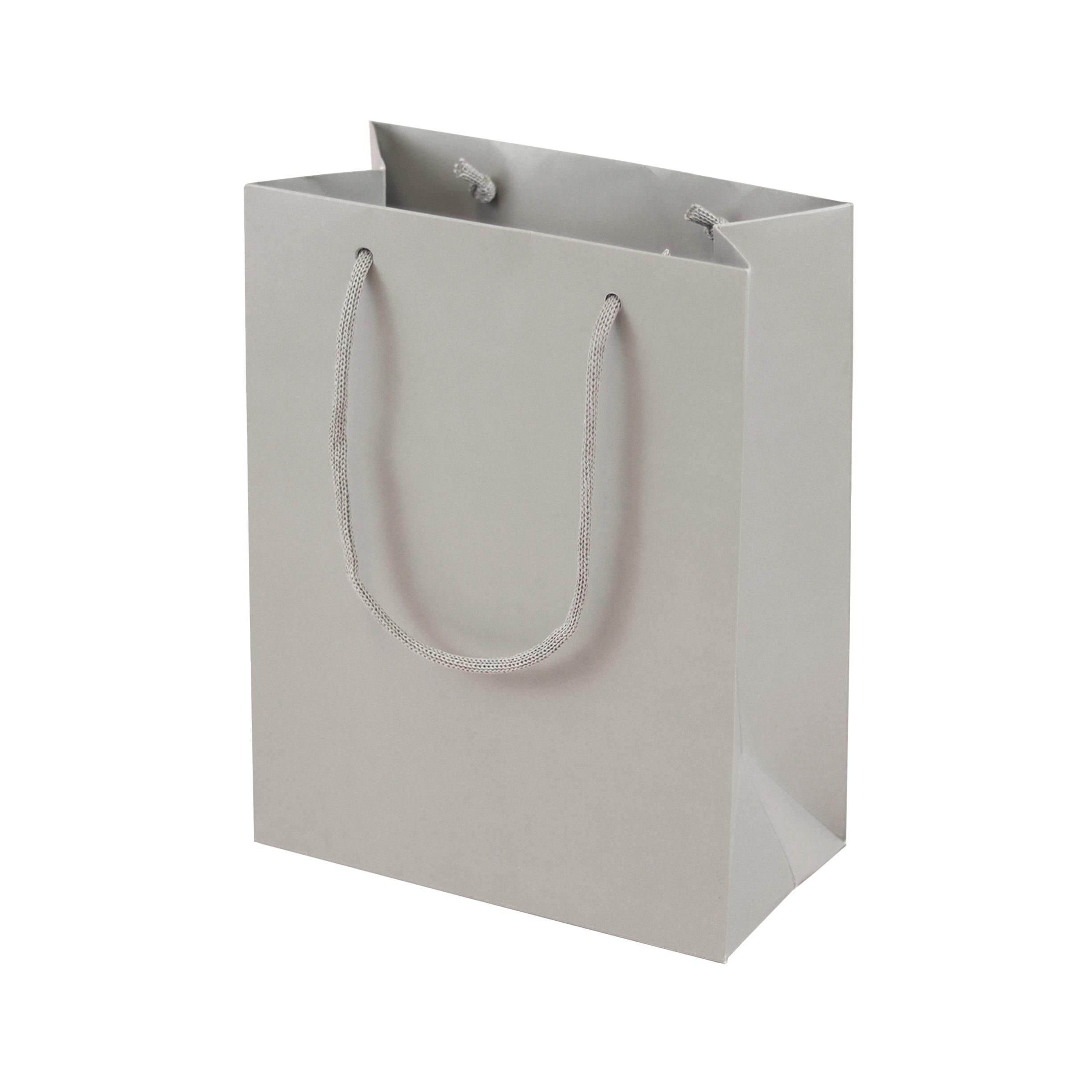Grey eco-friendly paper gift bag with braided rope handles.