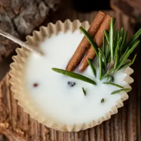 Homemade Fire Starters