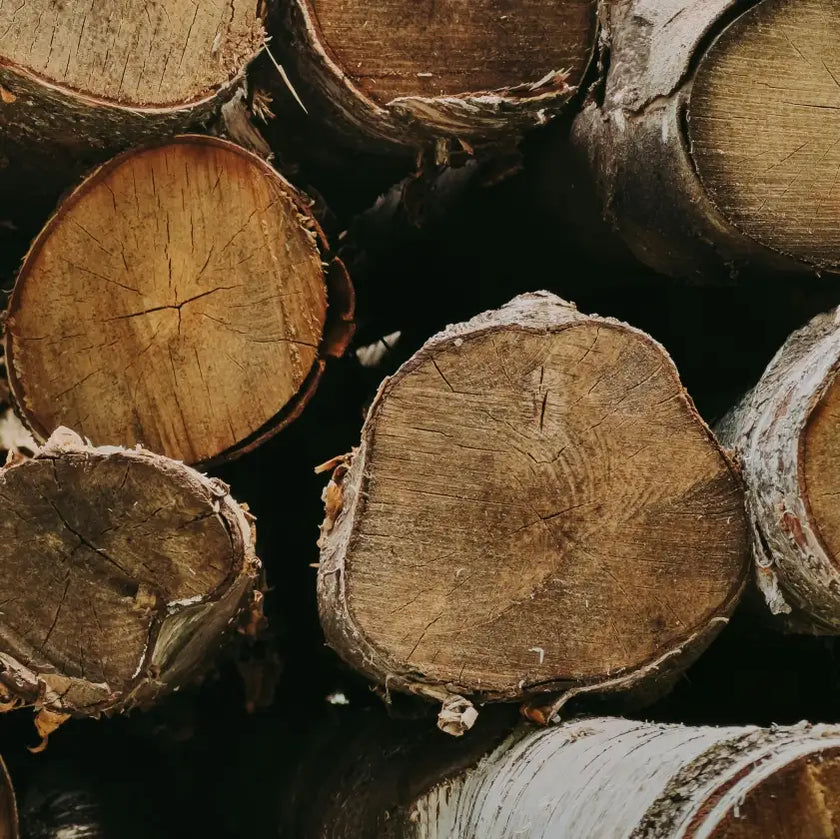 Stacked logs with visible tree rings and rough bark, showcasing natural textures in warm, earthy tones, conveying a rustic, outdoorsy feel.