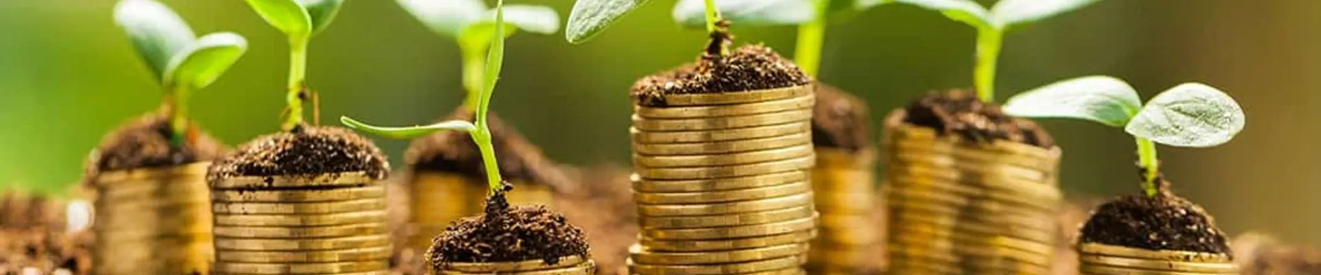Ways Small Businesses Can Save Money and Help the Environment
